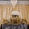 Sequin Backdrop