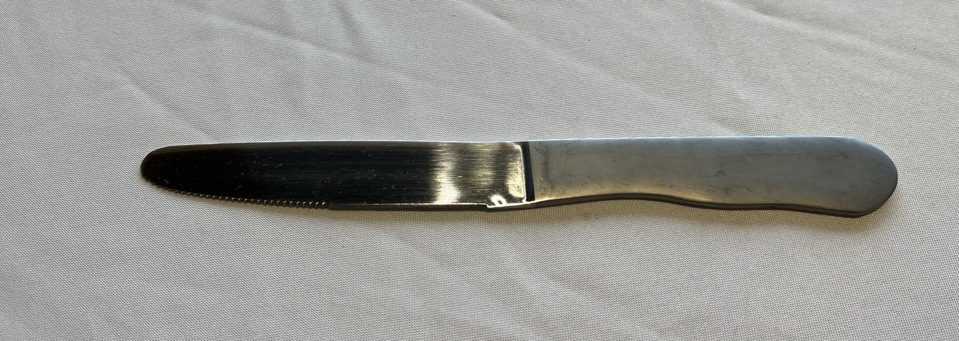 Steak knife stainless steel 10"